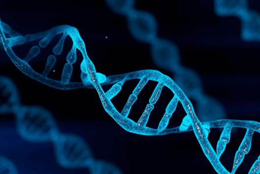 Gene Testing: Predict Diseases and Boost Longevity