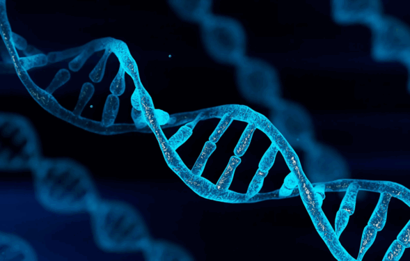 Gene Testing: Predict Diseases and Boost Longevity